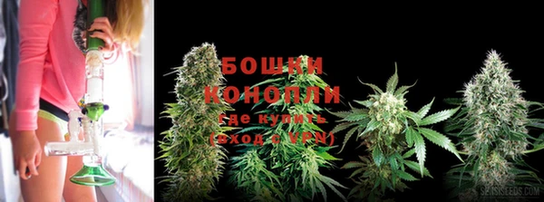 гидропоника Алексеевка