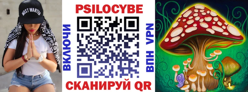 Псилоцибиновые грибы Cubensis Безенчук